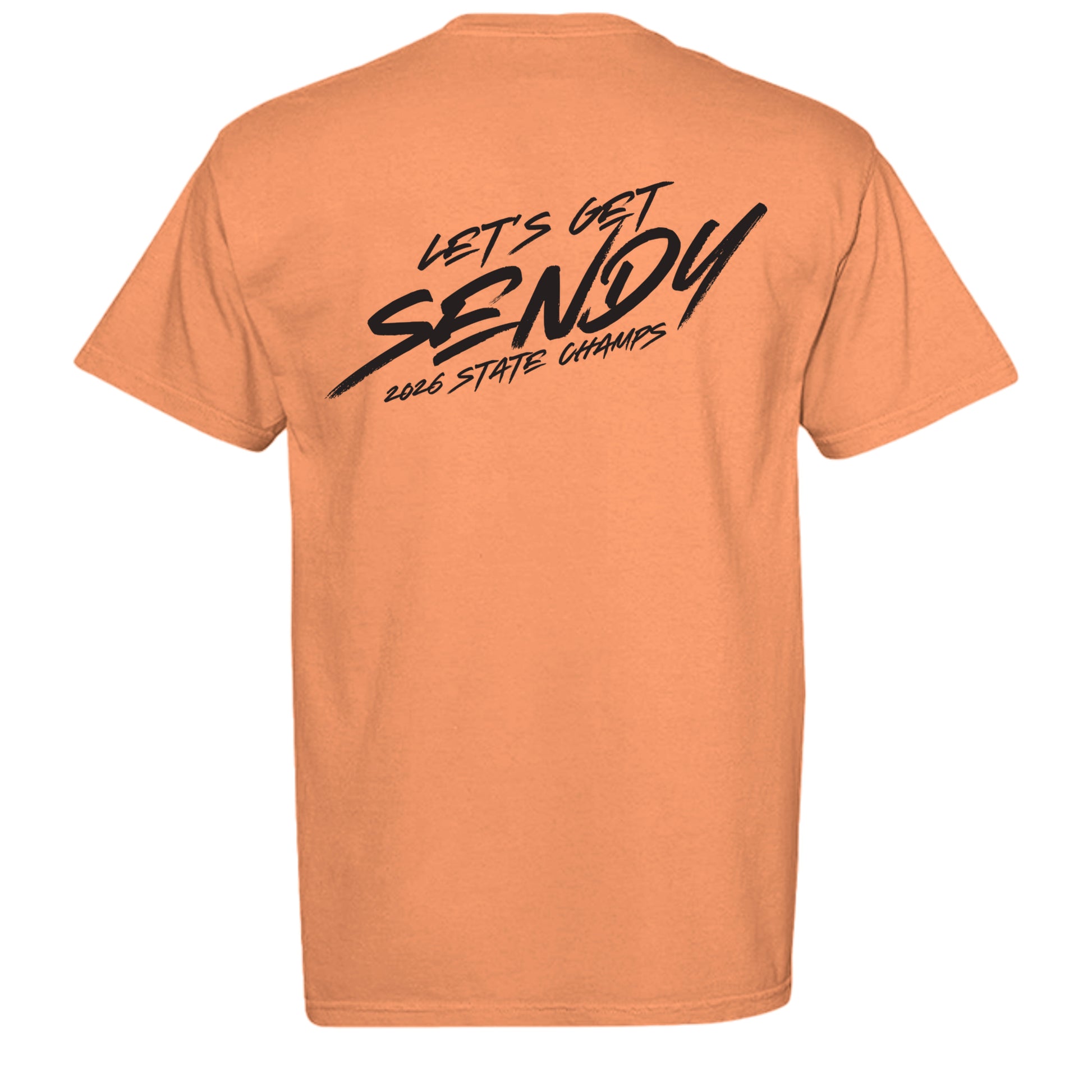 BURNT ORANGE - C1717 - BACK